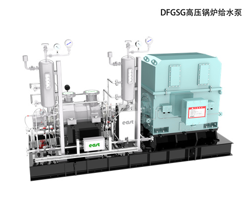 DFGSG